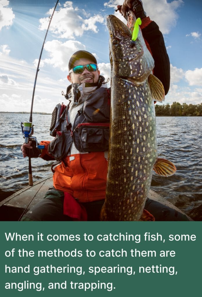 What is fishing?